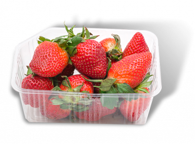 StrawberryContainerInset